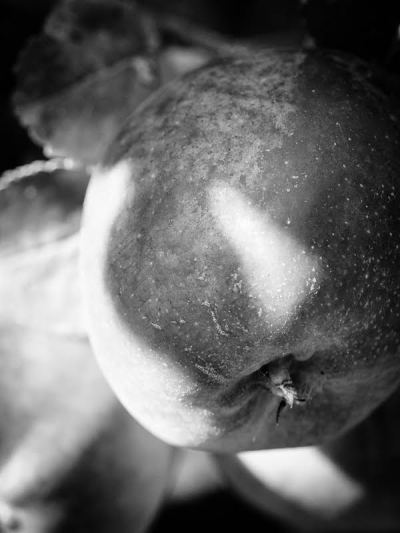 (photo credit Ronda Broatch)