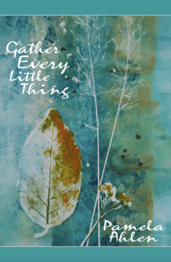 book-cover-image-jpg-pamela-ahlen