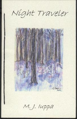 Night Traveler Cover