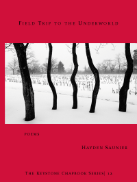 saunier_web-cover-03