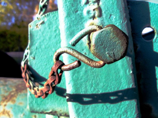 Iffert.Ingrid blue bolt copy