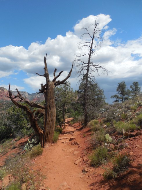 (photo by Jeannie E Roberts)