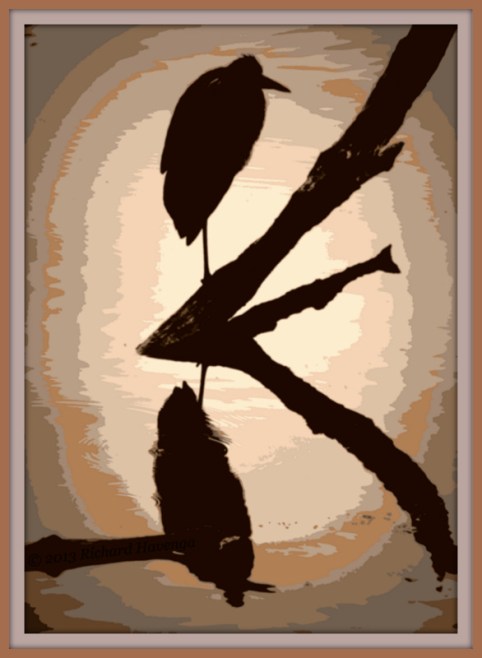 (photo by Richard Havenga)