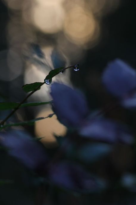 (photo by Sarah Rehfeldt)