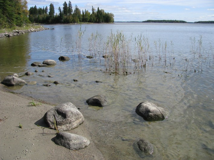 (photo by Jeannie E Roberts)