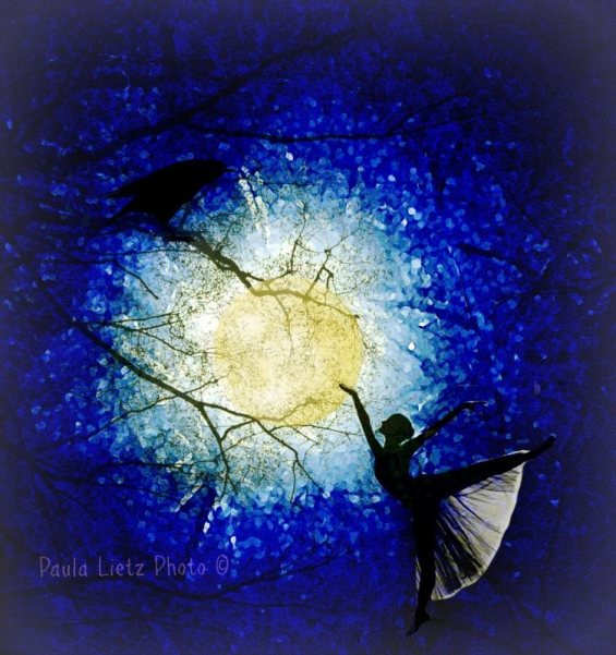 (artwork by Pd Lietz)