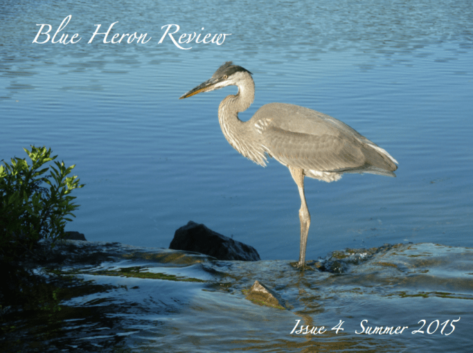 (Cover photo by Gail Goepfert)