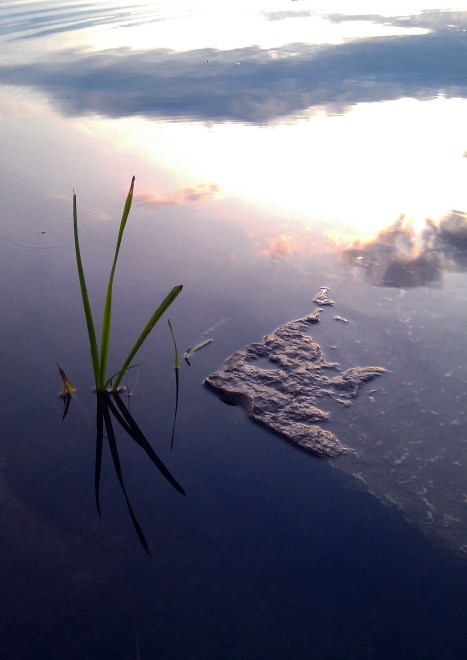 photo by Jason Iffert