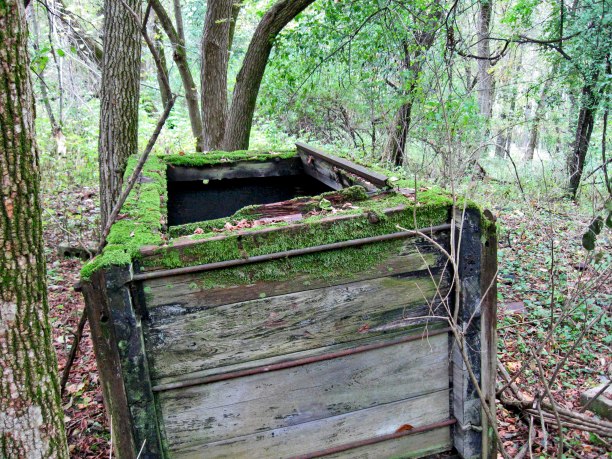 (photo by Jason Iffert)