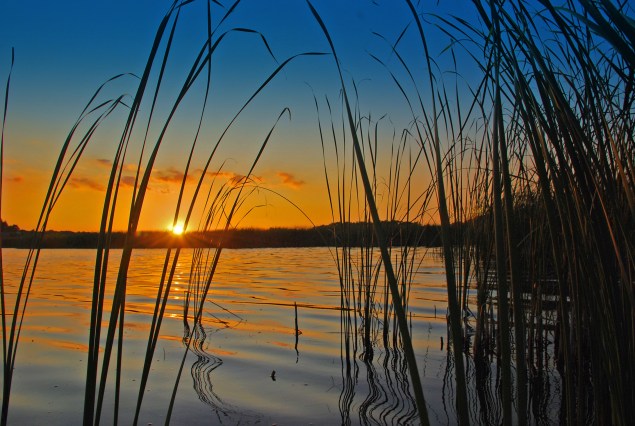 (photo by Holly Kallie)