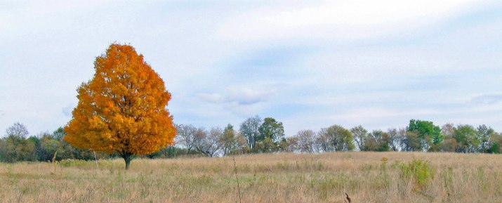 photo by Jason Iffert