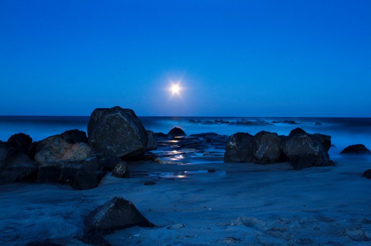 Pair with Emily Harel