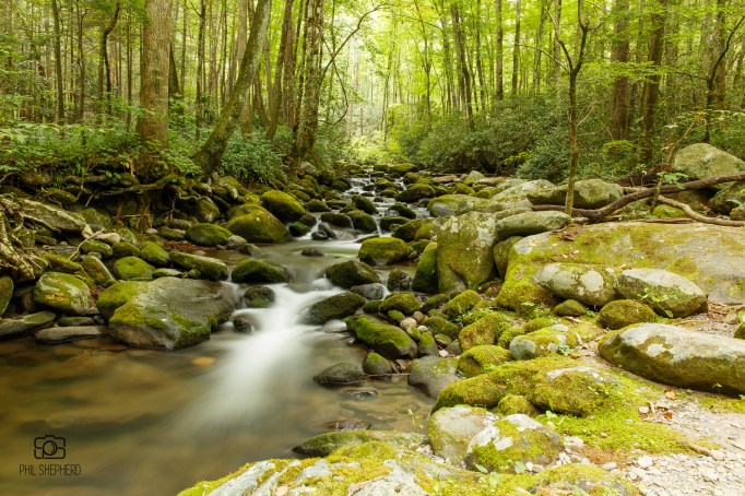 Pair with Karissa Knox Sorrell