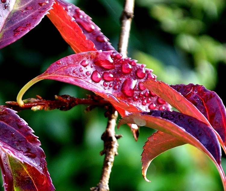 Pair with Marcia J Pradzinski