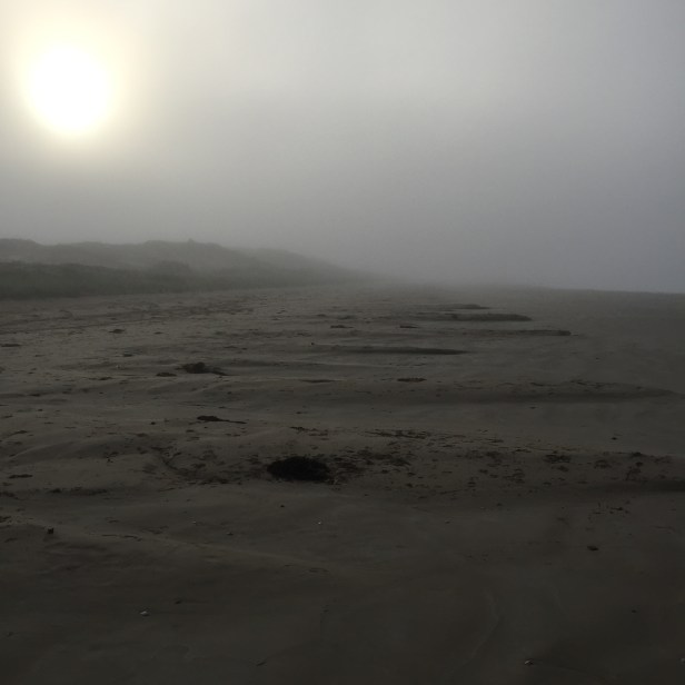 Paired with Donna H DiCello