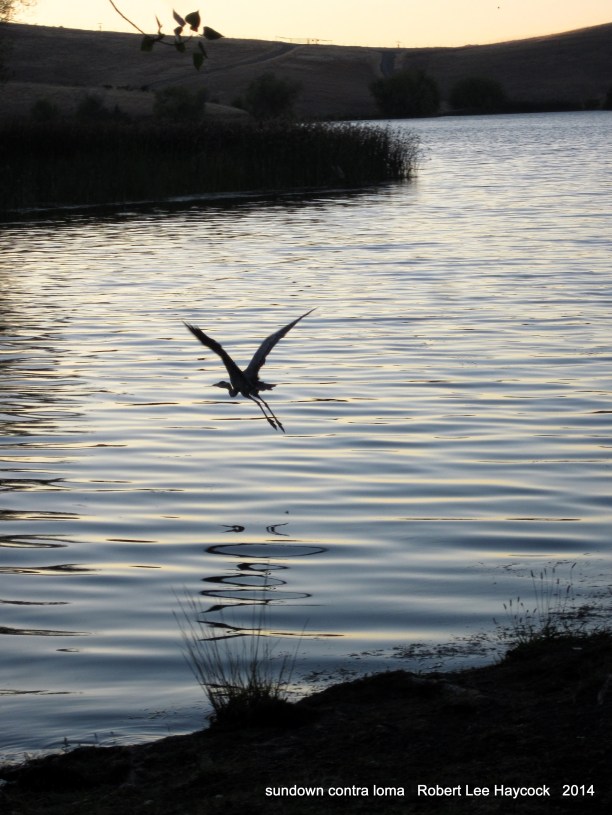 Robert Lee Haycock BH5 winter2016 sundown contra loma