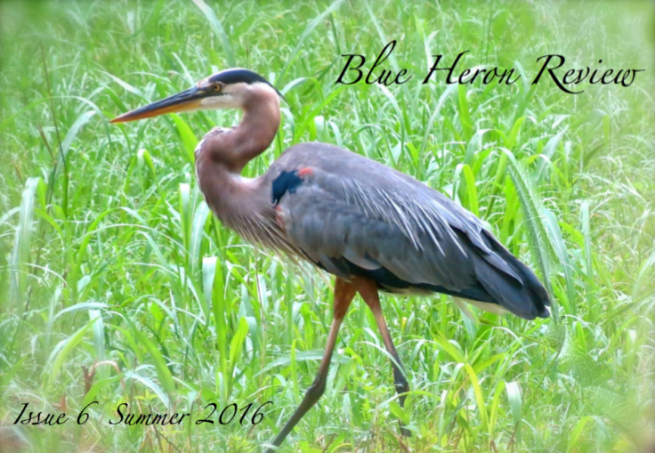 BHR Issue 6 Summer 2016 Cover Final Image