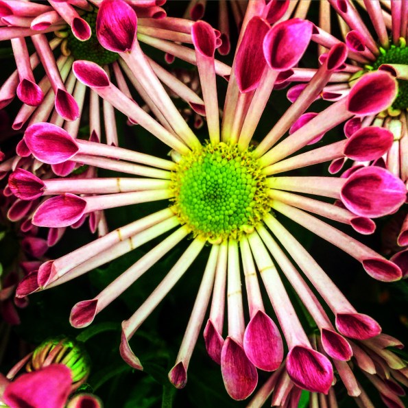 pair w Erin Slaughter