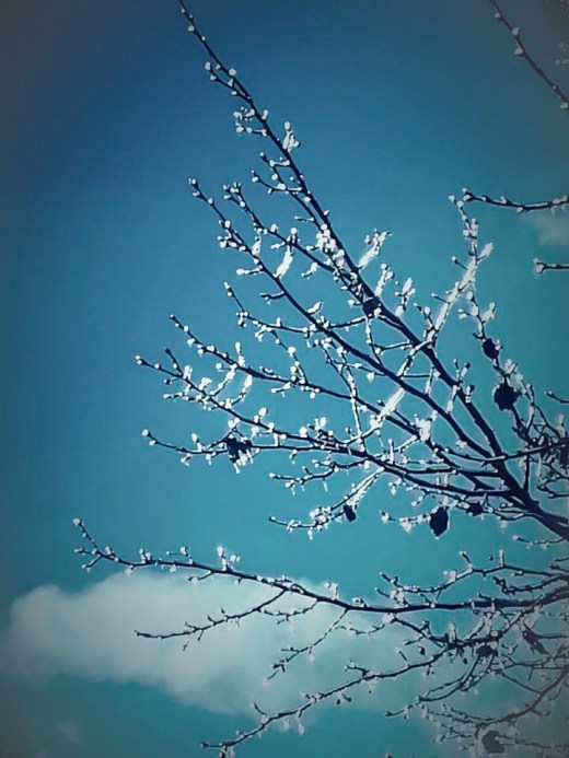 pair w Patricia Williams