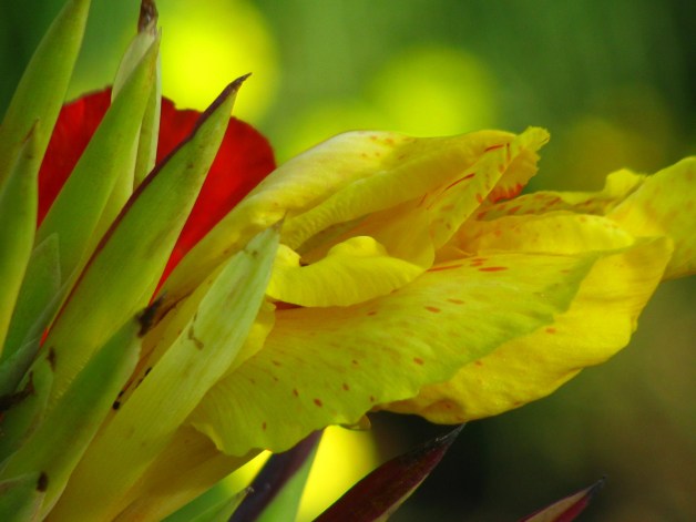 pair-with-poem-by-janet-reed