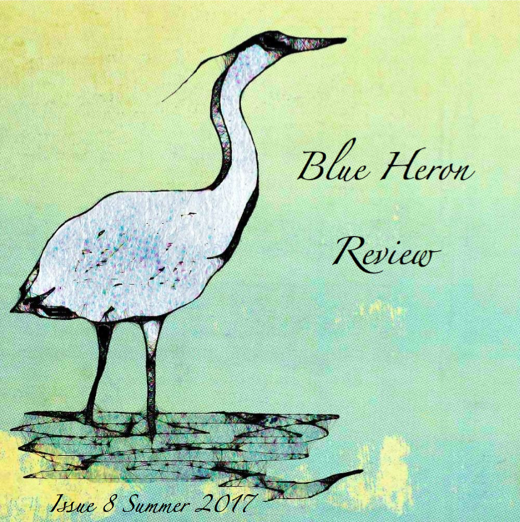 BHR Issue 8 Summer 2017 cover image