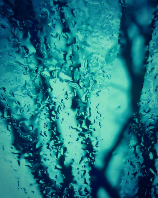 Fiona C pair with Marguerite B poem