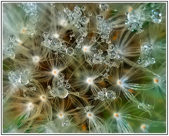 Kurt H Pair up w Jessica Moser