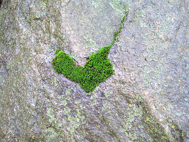 USE THIS ONE Karen V Pair w Gail Tirone poem