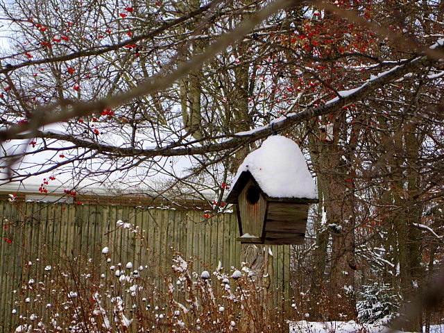 Pair w poem by Kristina Mullenix