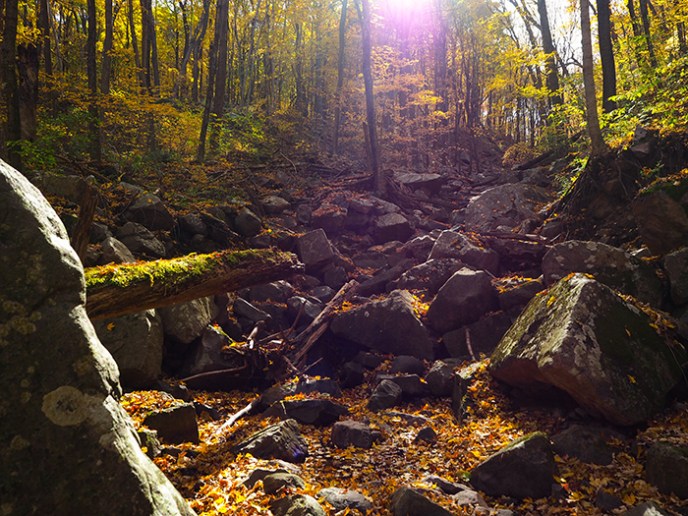 Pair with poem by Neil Creighton