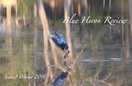 BHR Issue 9 Winter 2018 Cover image