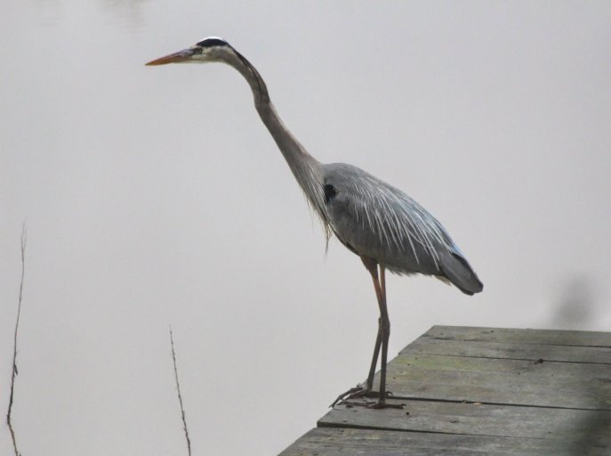 Dave Smith Use this photo for FINAL BH photo