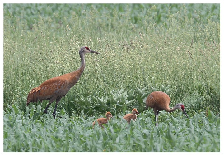 Pair w David Prather