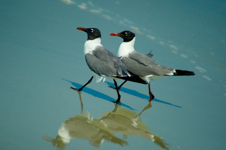 Pair w Marjie G Giffin poem