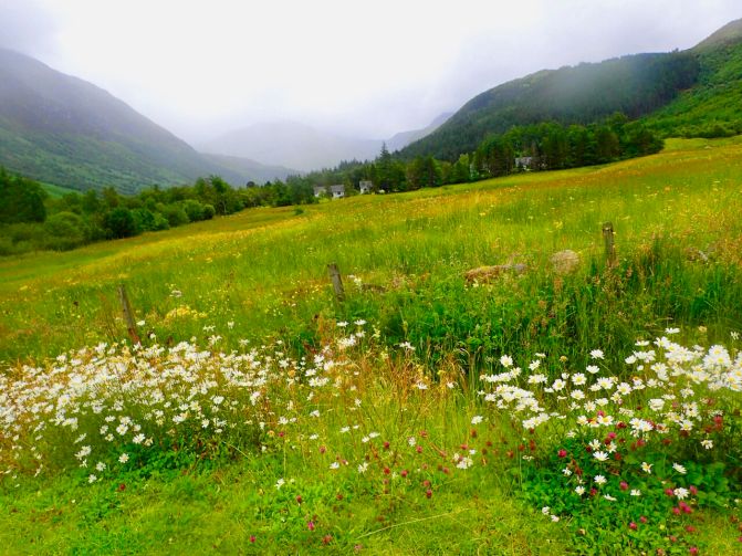 Pair w Mike Lewis Beck poem