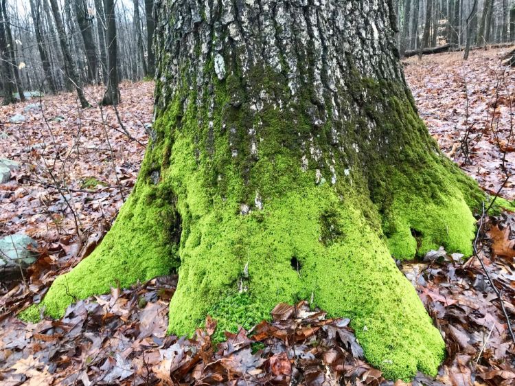 Pair w Stephanie Merrill