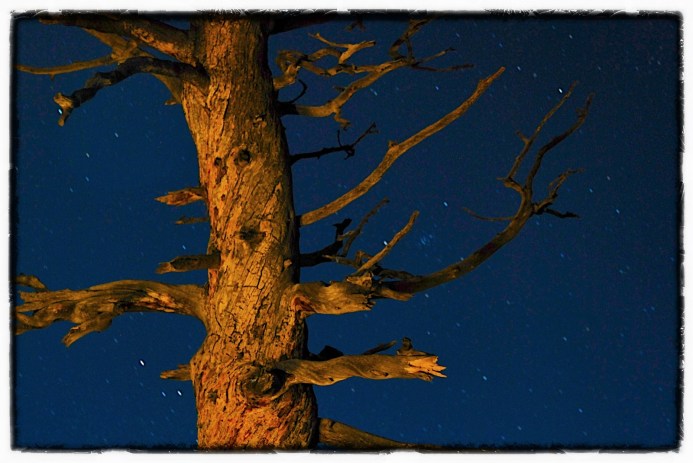 Pair with poem by Anna Mark