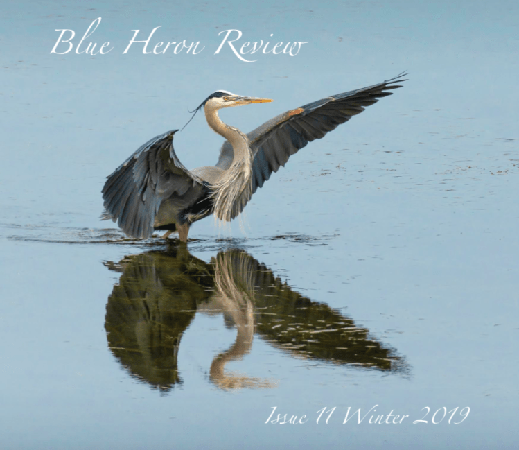 BHR11 Winter 2019 FINAL Cover