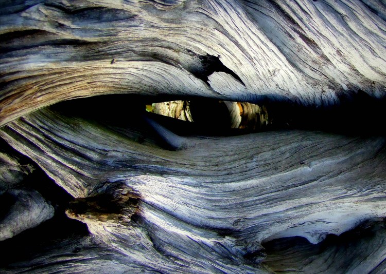 DragonsEye Pair w KB Ballentine