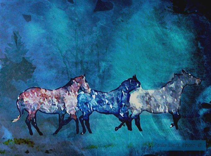 Paula L Pair w Chris D.