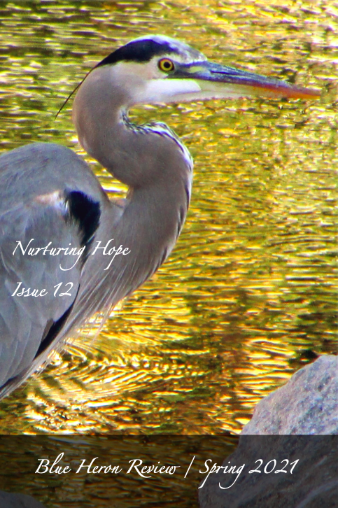 BHR 12 Cover Layout FINAL IMAGE