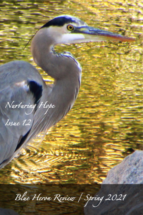 BHR 12 Cover Layout FINAL IMAGE