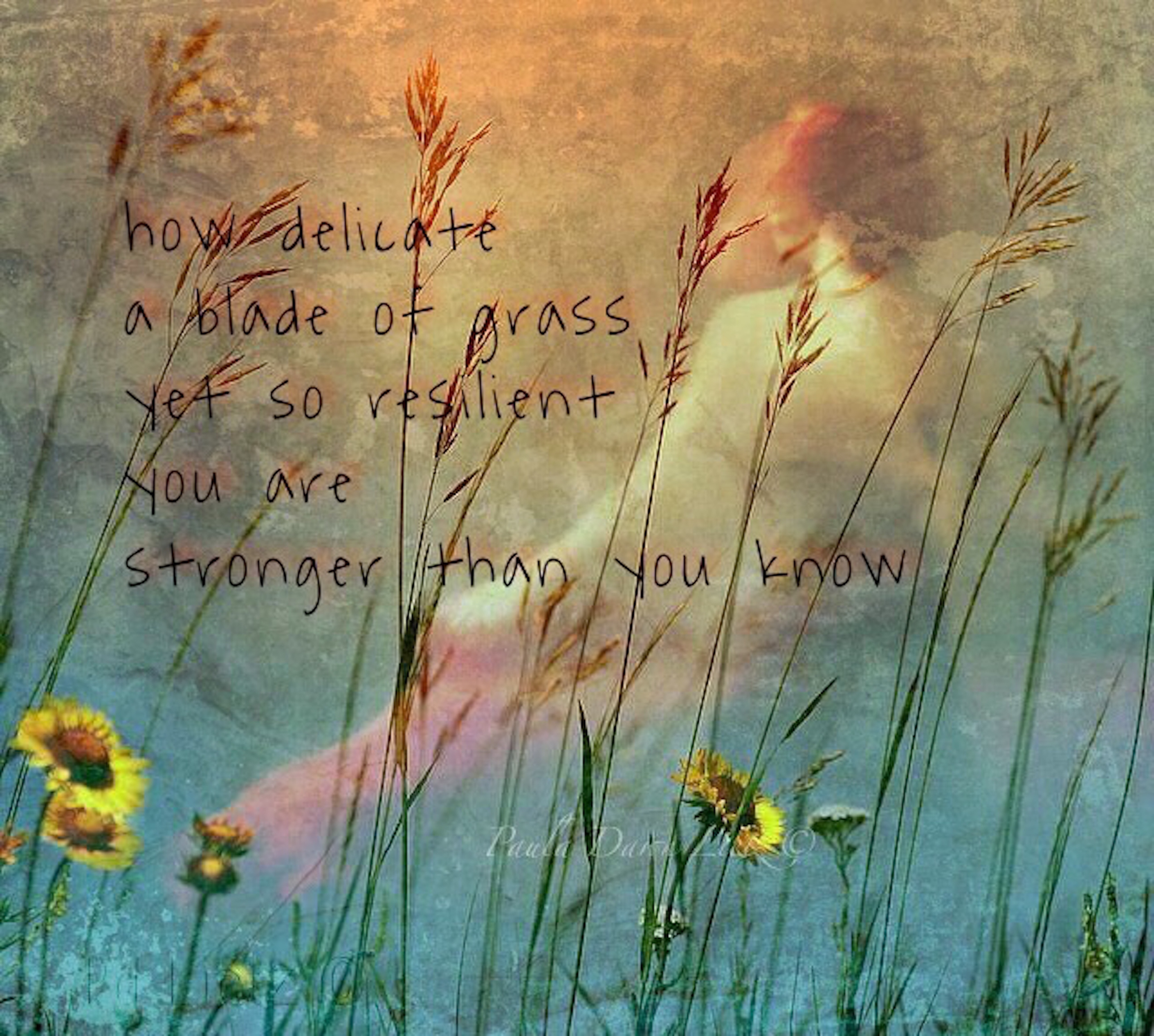 Paula Lietz BHR 12 blade of grass