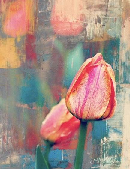 Paula Lietz BHR 12 tulips