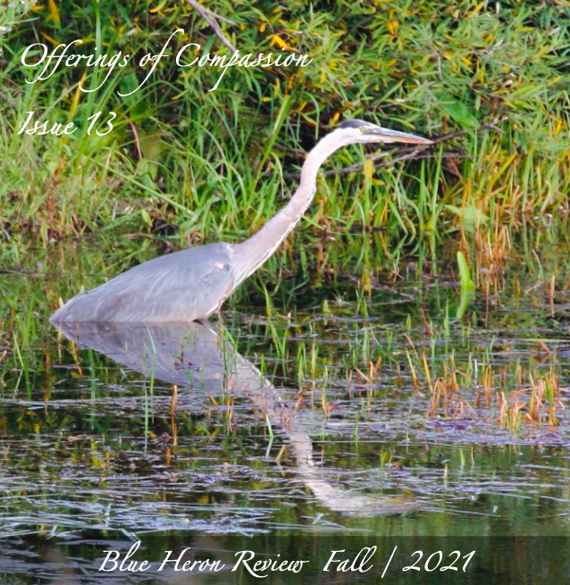 BHR 13 Cover Design Image png