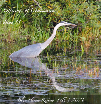 BHR 13 Cover Design Image png