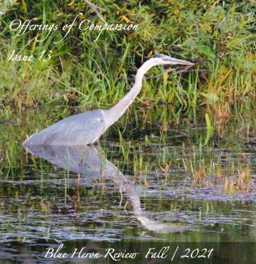 BHR 13 Cover Design Image png