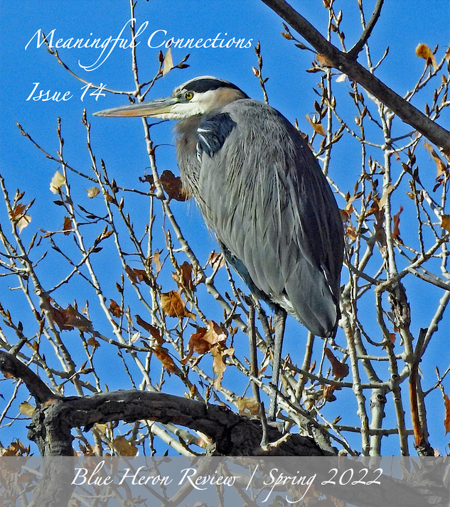 FINAL Cover Image BHR14