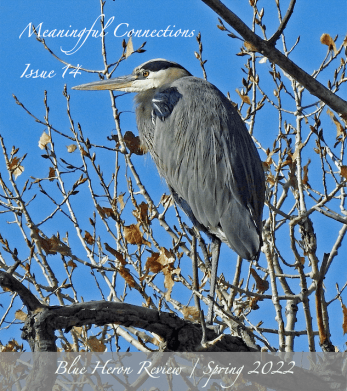 FINAL Cover Image BHR14