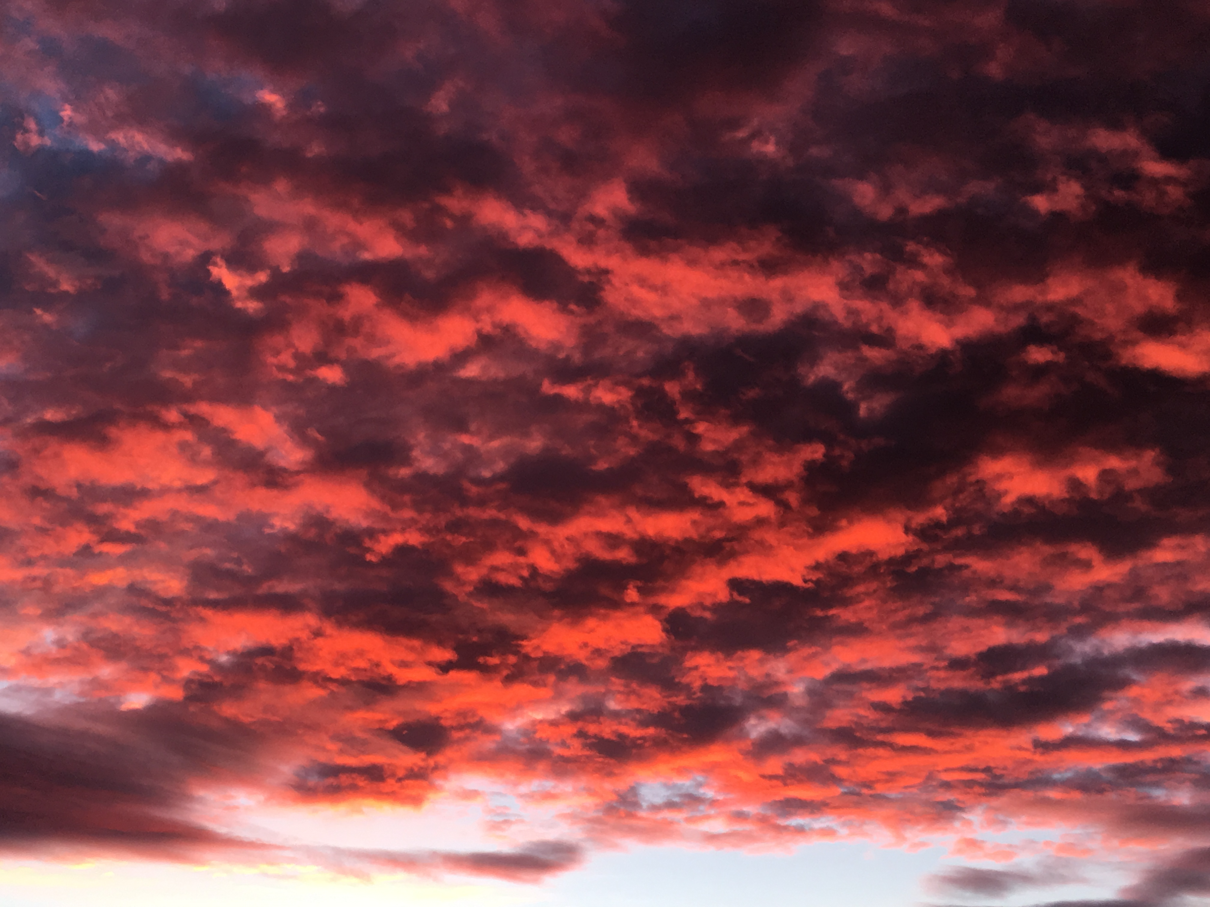 Orange Sunrise Janet Ruth BH14